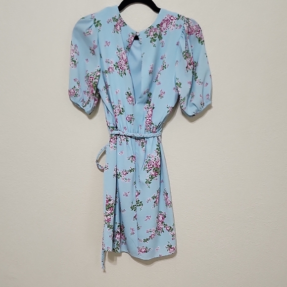 Sage Pink and Blue Puff Sleeve Sundress - Picture 5 of 12